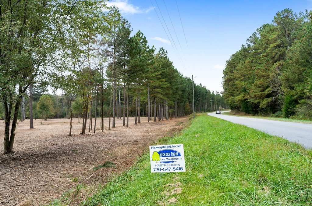 Taylorsville, Ga Land