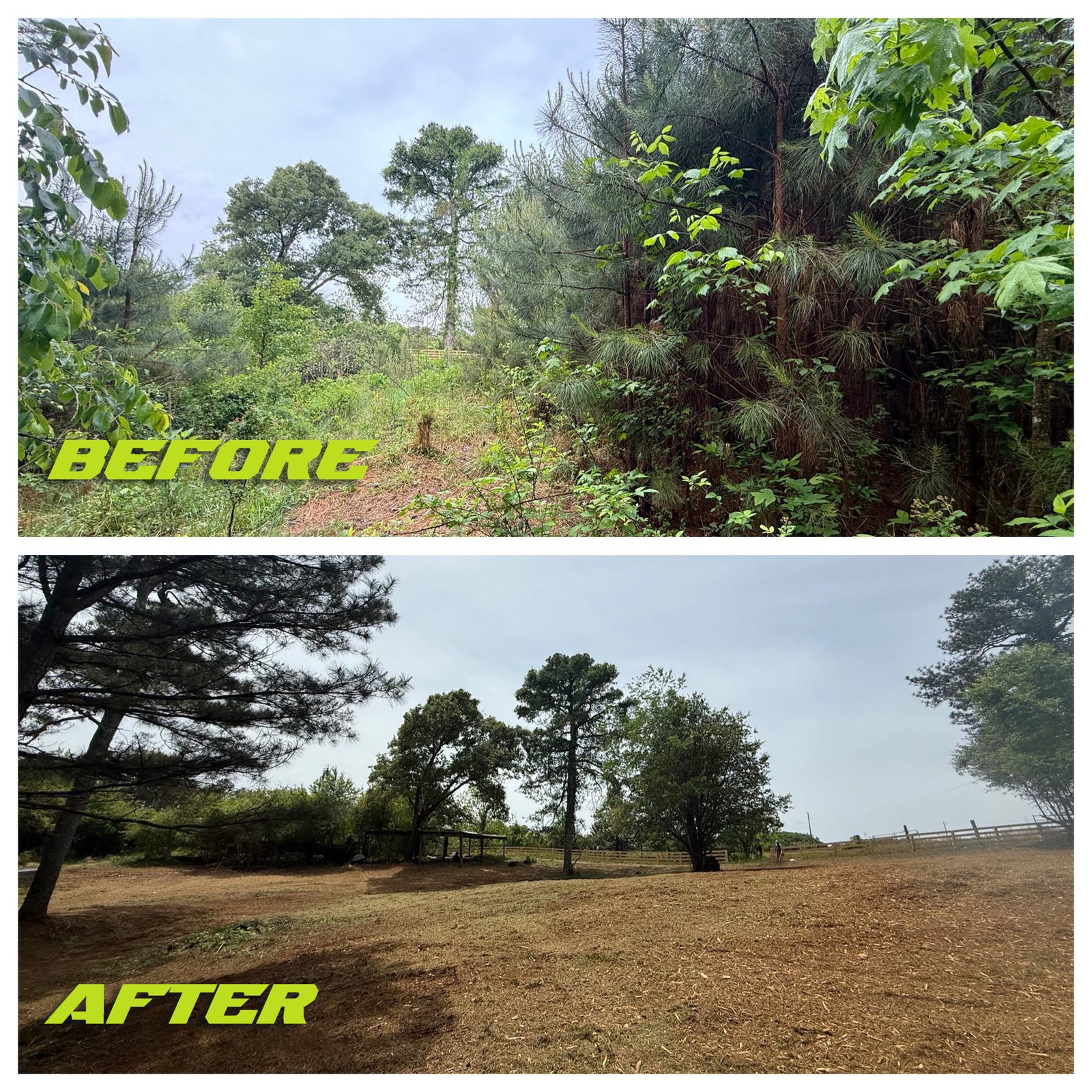 FERGUSONFORESTRYBEFOREAFTERJOB_003