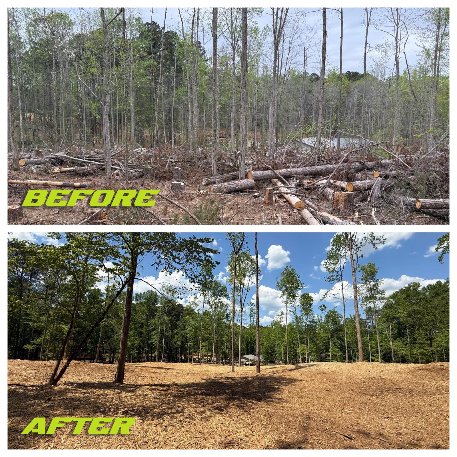 FERGUSONFORESTRYBEFOREAFTERJOB_004