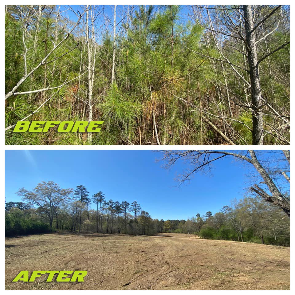 FERGUSONFORESTRYBEFOREAFTERJOB_005