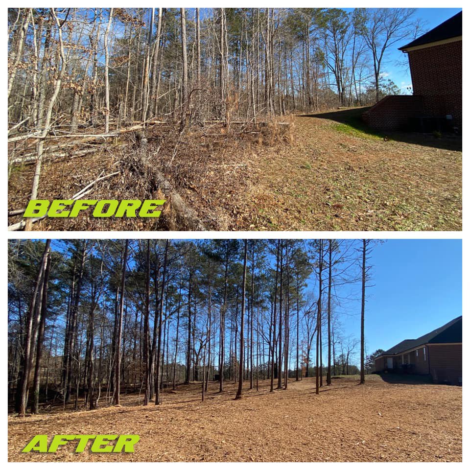 FERGUSONFORESTRYBEFOREAFTERJOB_006