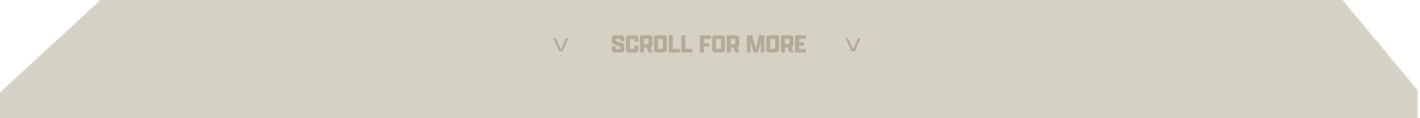 Scroll-For-More copy
